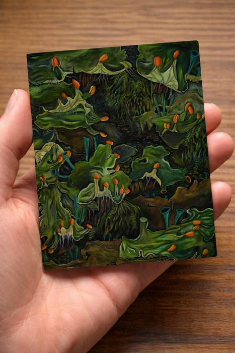 Frog Pelt Lichen Botanical Illustration Mini Print 4x5