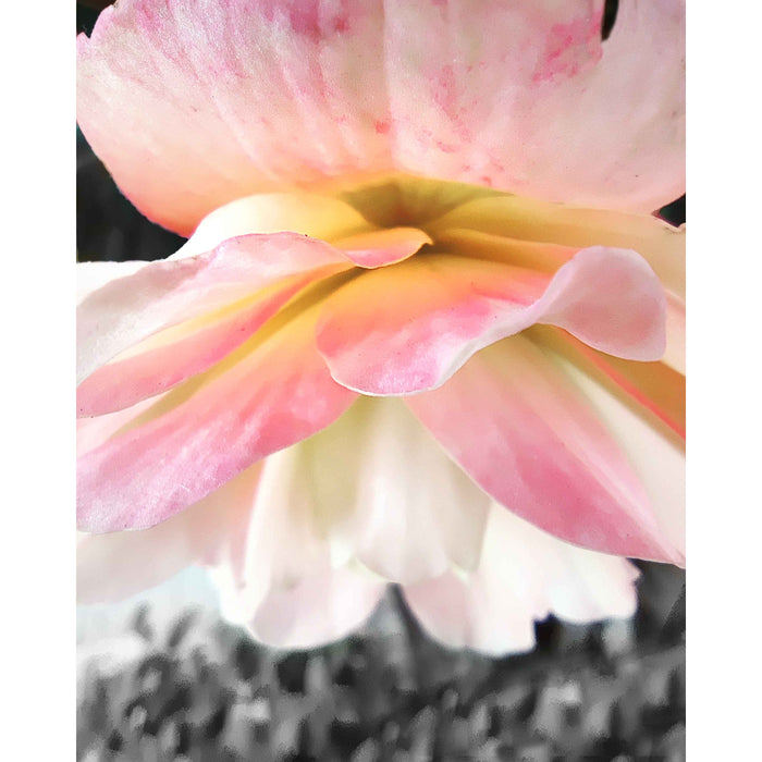 8x10 Photographic Prints