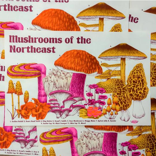 Mushrooms of the NE Riso Print