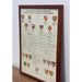 Reproduction Print of Hang JJeavon’s George Washington Genealogy