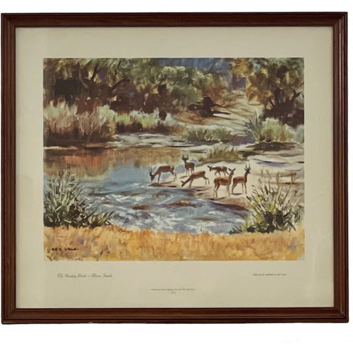 The Moon-day Drink of Africa Impala’s by Eric Wale Landscape Print