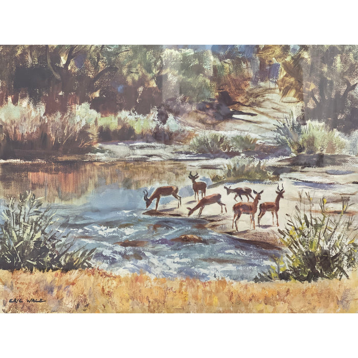 The Moon-day Drink of Africa Impala’s by Eric Wale Landscape Print