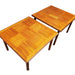 Vintage Danish Mid Century Modern Teak Coffee Tables Set of 2