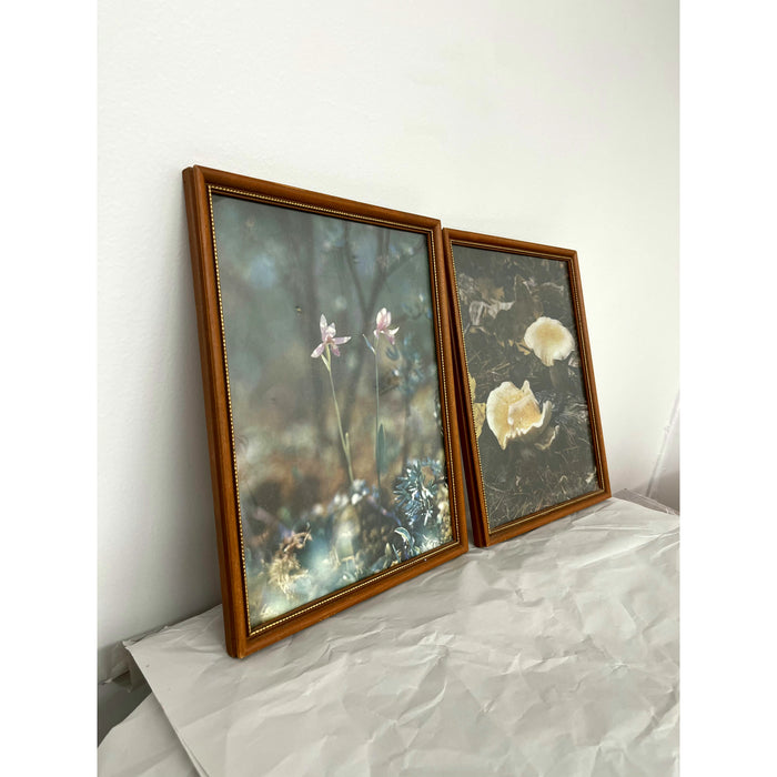 Vintage Framed Art 2 Available $25 Each