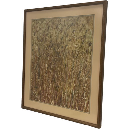 Vintage Framed Art Print